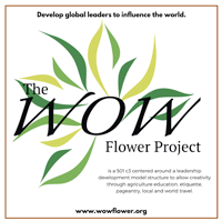 The WOW Flower Project